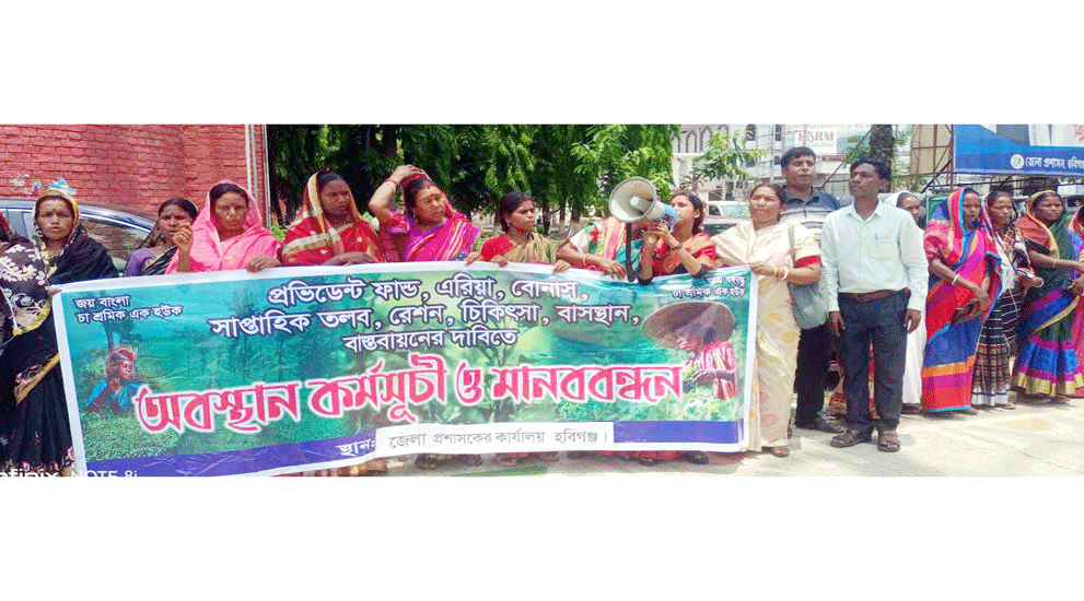 হবিগঞ্জে ৭ দফা দাবিতে চা শ্রমিকদের মানববন্ধন