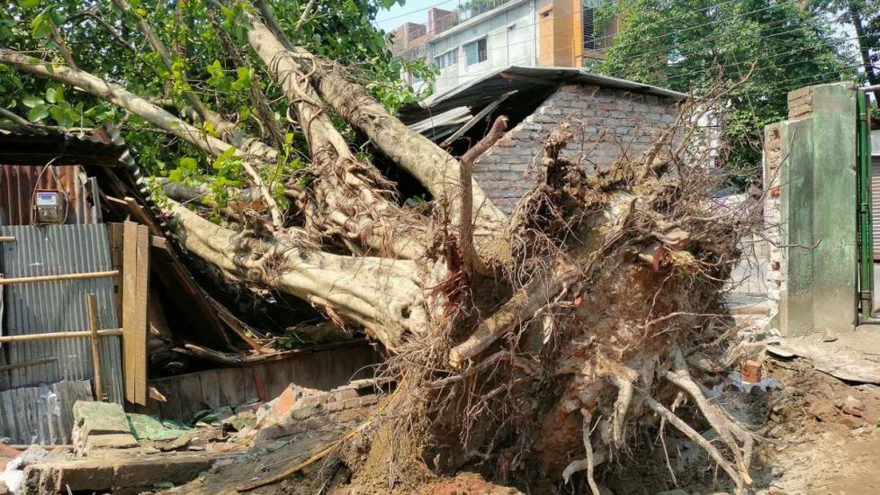 সিলেটে কালবৈশাখী ঝড় নিয়ে স র্ত ক তা