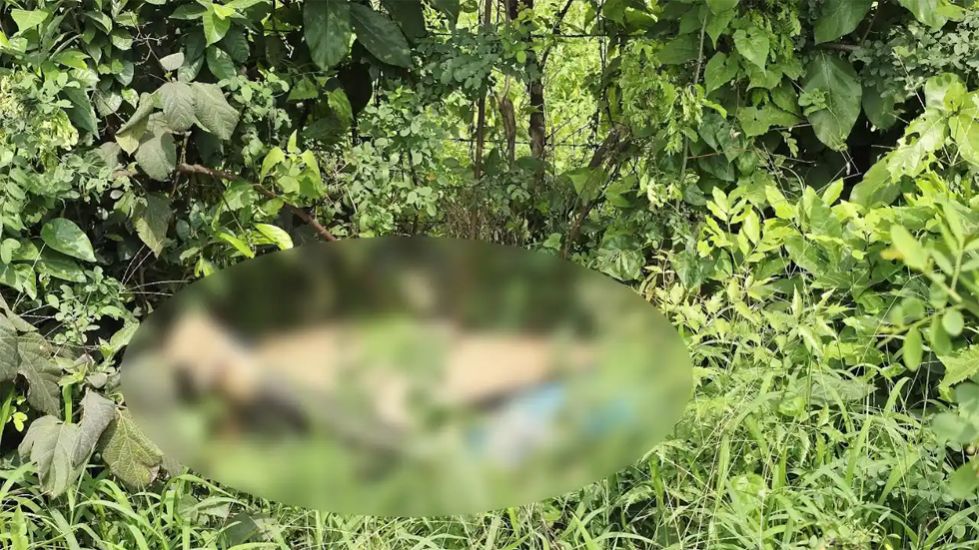 জঙ্গলে মিলল বিশ্ববিদ্যালয় ছাত্রের ম র দে হ