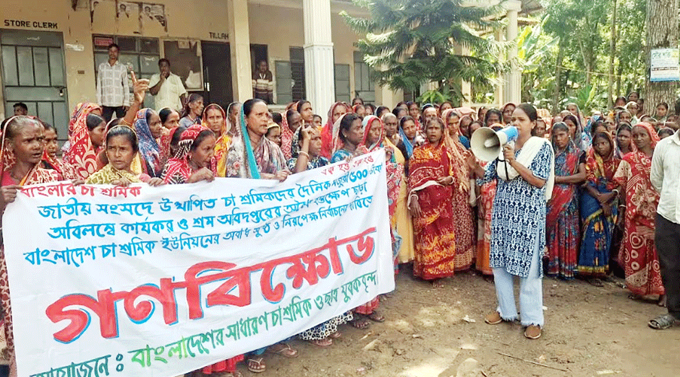 রাজনগরে ৫০০ টাকা মজুরি ও ভূমির দাবিতে চা শ্রমিকদের বি ক্ষো ভ