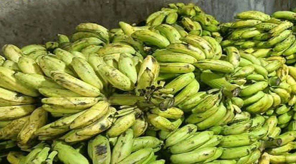 খালি পেটে কলা খেলে কী হয়?